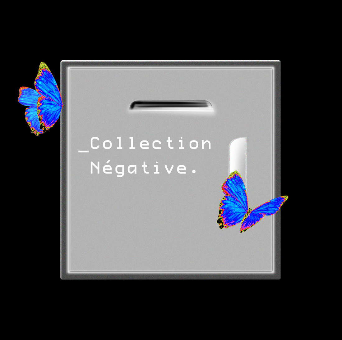_ Collection Vision Négative.